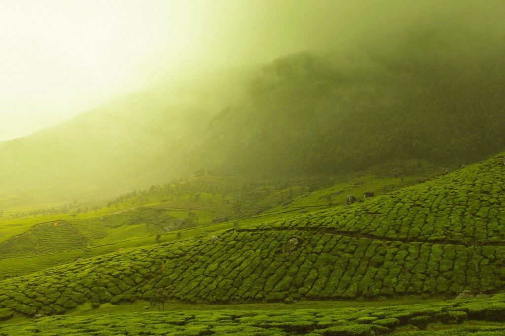 Radio Mallu archive