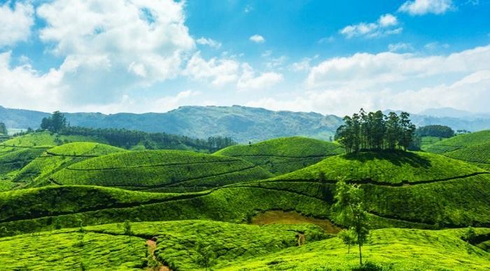 ജൂലൈ