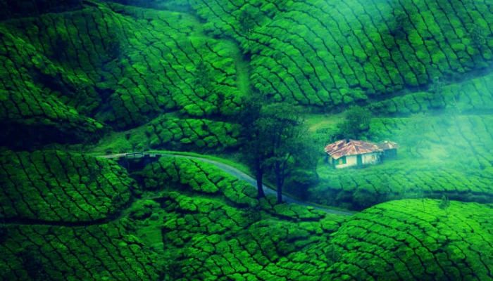 ഫെബ്രുവരി
