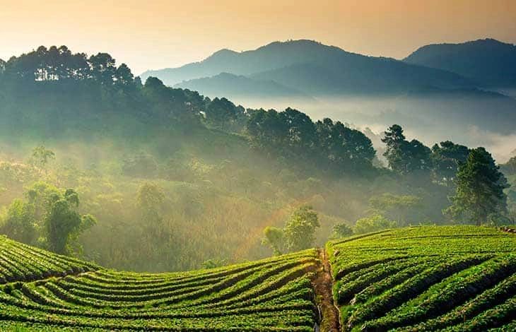 നവംബർ