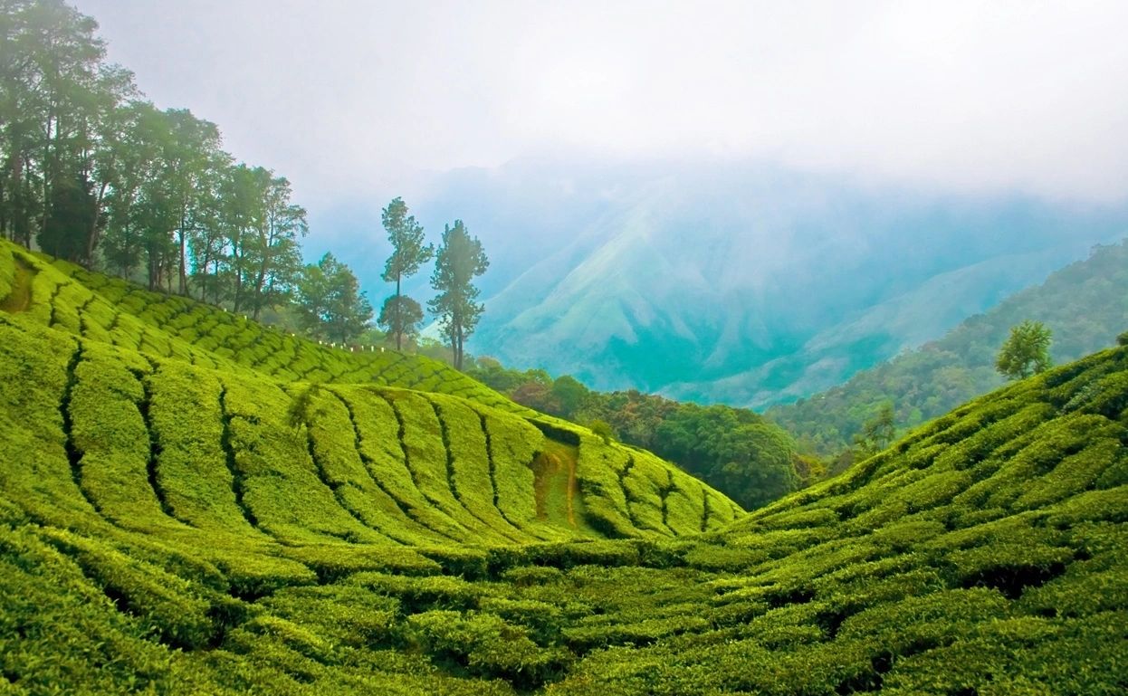 മെയ്