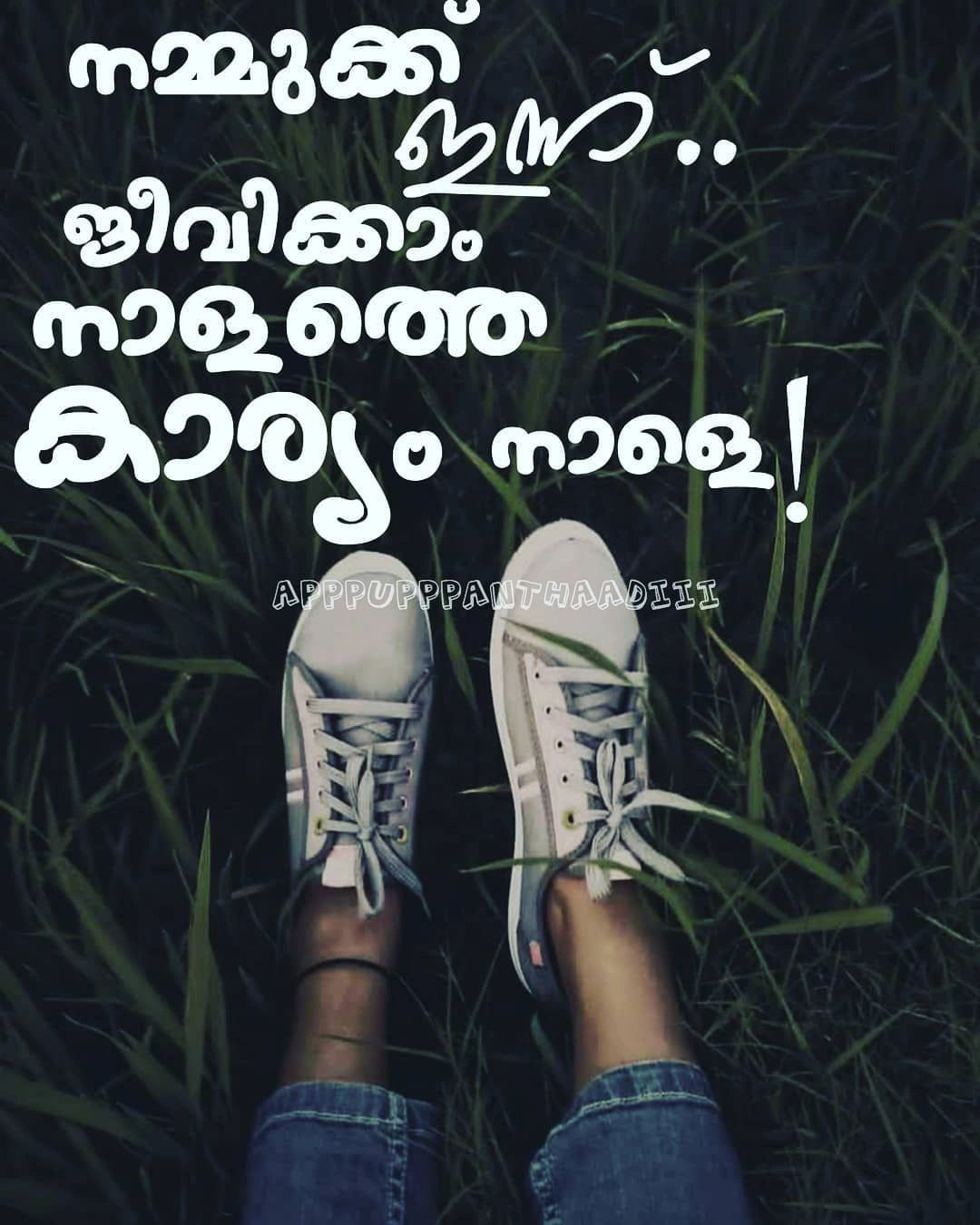 പിഷാരടി ധർമ്മജൻ