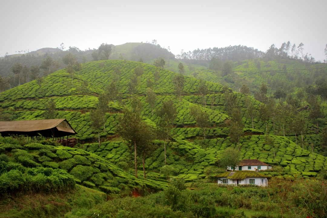 ഒക്ടോബർ